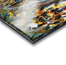 238 8K Acrylic print