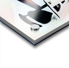 429 8K Acrylic print