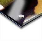 615 8K Acrylic print