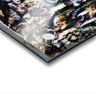 676 8K Acrylic print