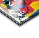 718 8K Acrylic print