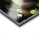 774 8K Acrylic print