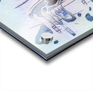 870 8K Acrylic print