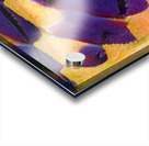 1136 8K Acrylic print