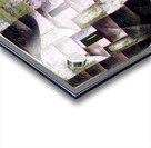 1265 8K Acrylic print