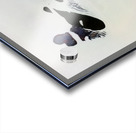 1366 8K Acrylic print