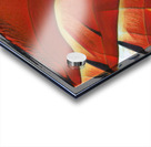 3323 8K Acrylic print