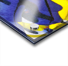 4142 8K Acrylic print