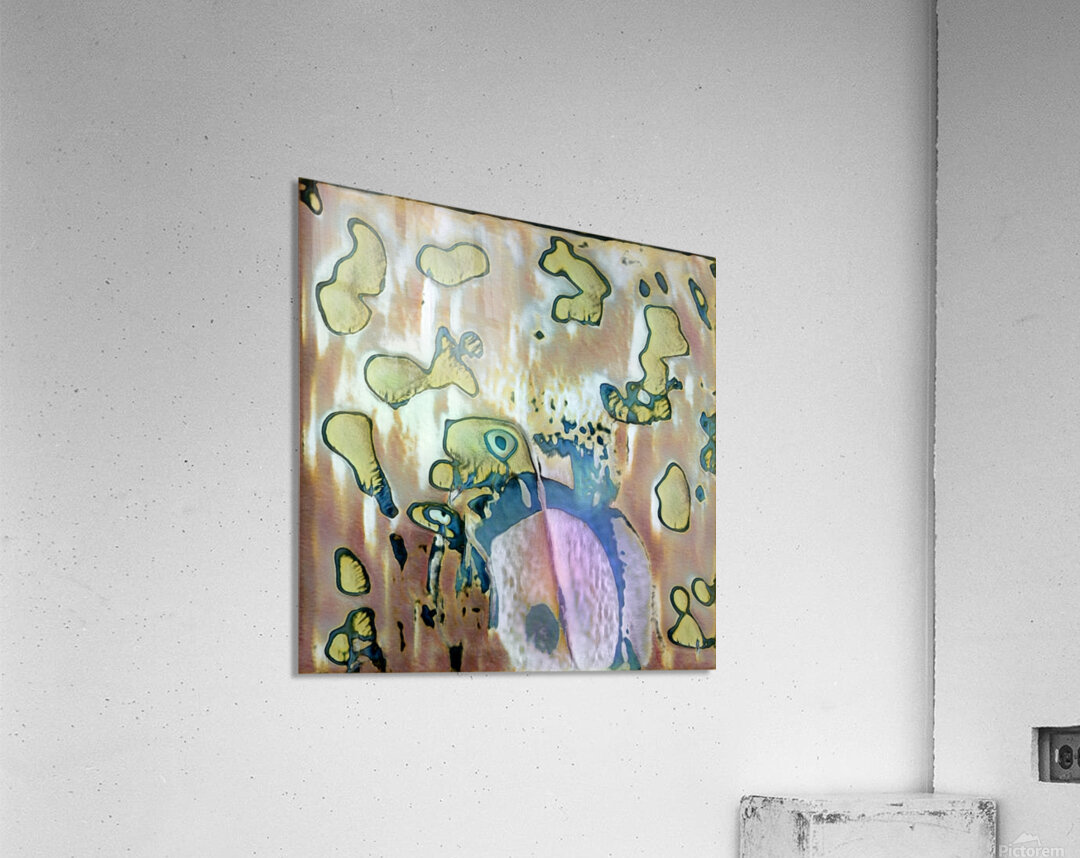 352 8K Acrylic Print