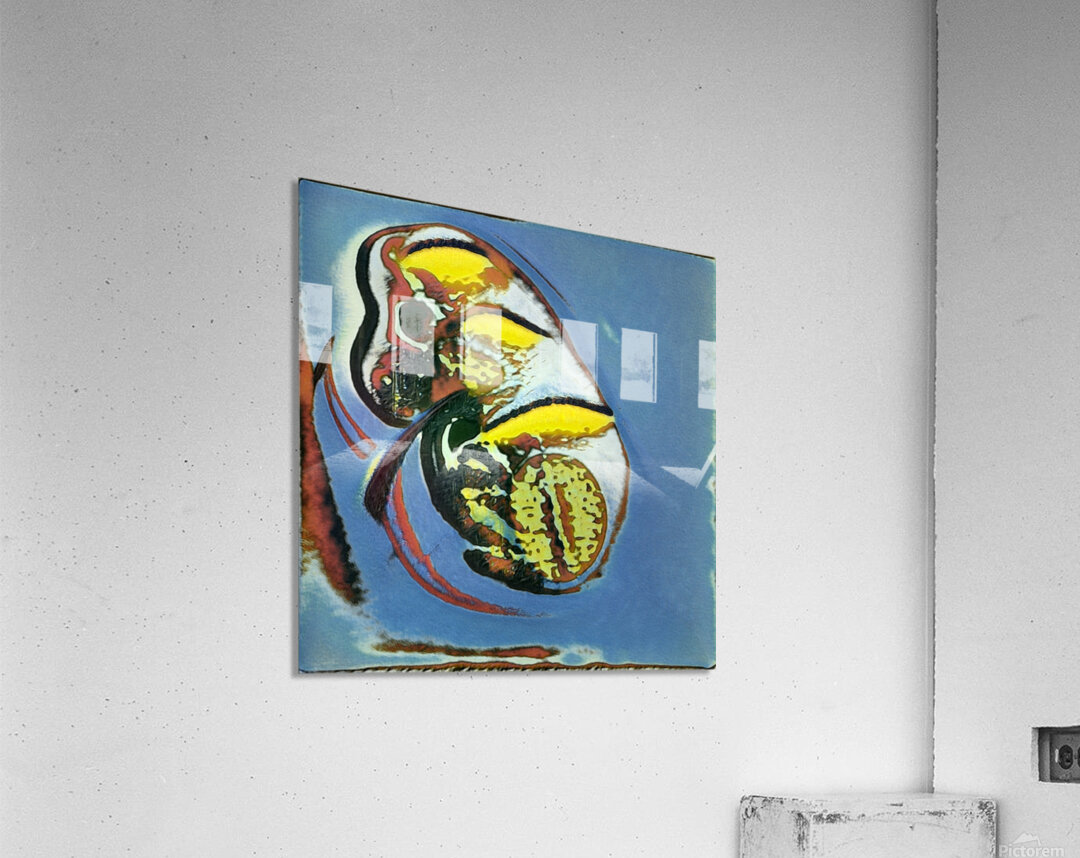 656 8K Acrylic Print