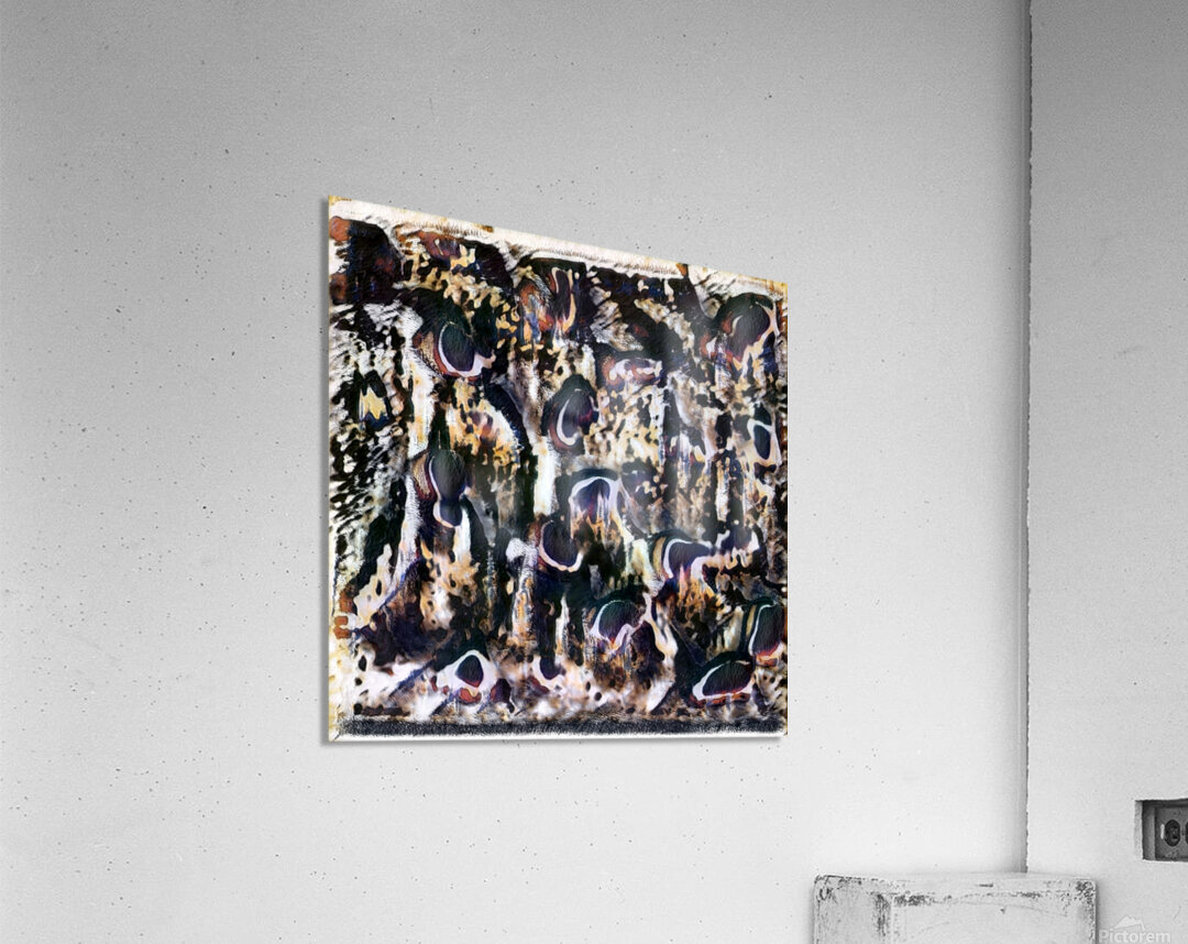 676 8K Acrylic Print