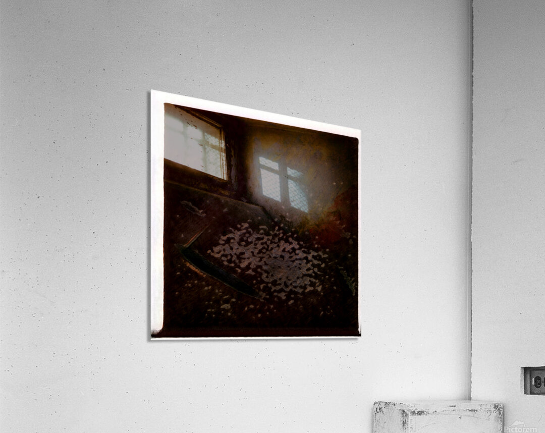 1118 8K Acrylic Print