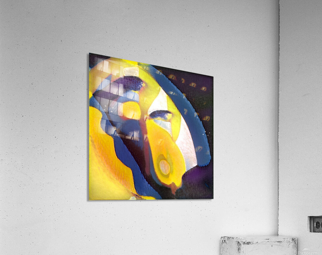 1698 8K Acrylic Print