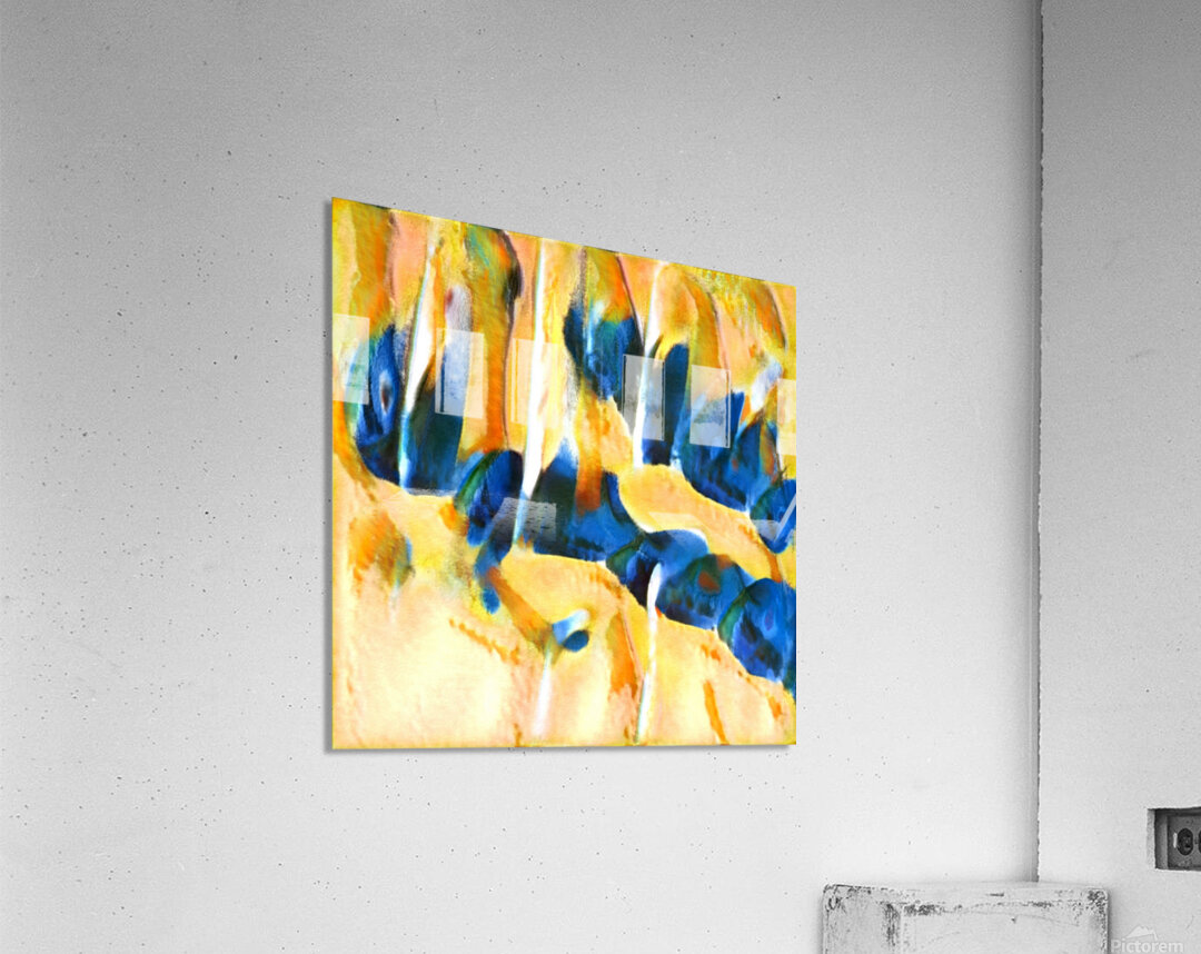 2255 8K Acrylic Print