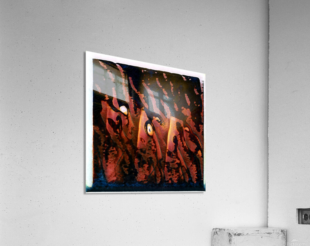 2263 8K Acrylic Print