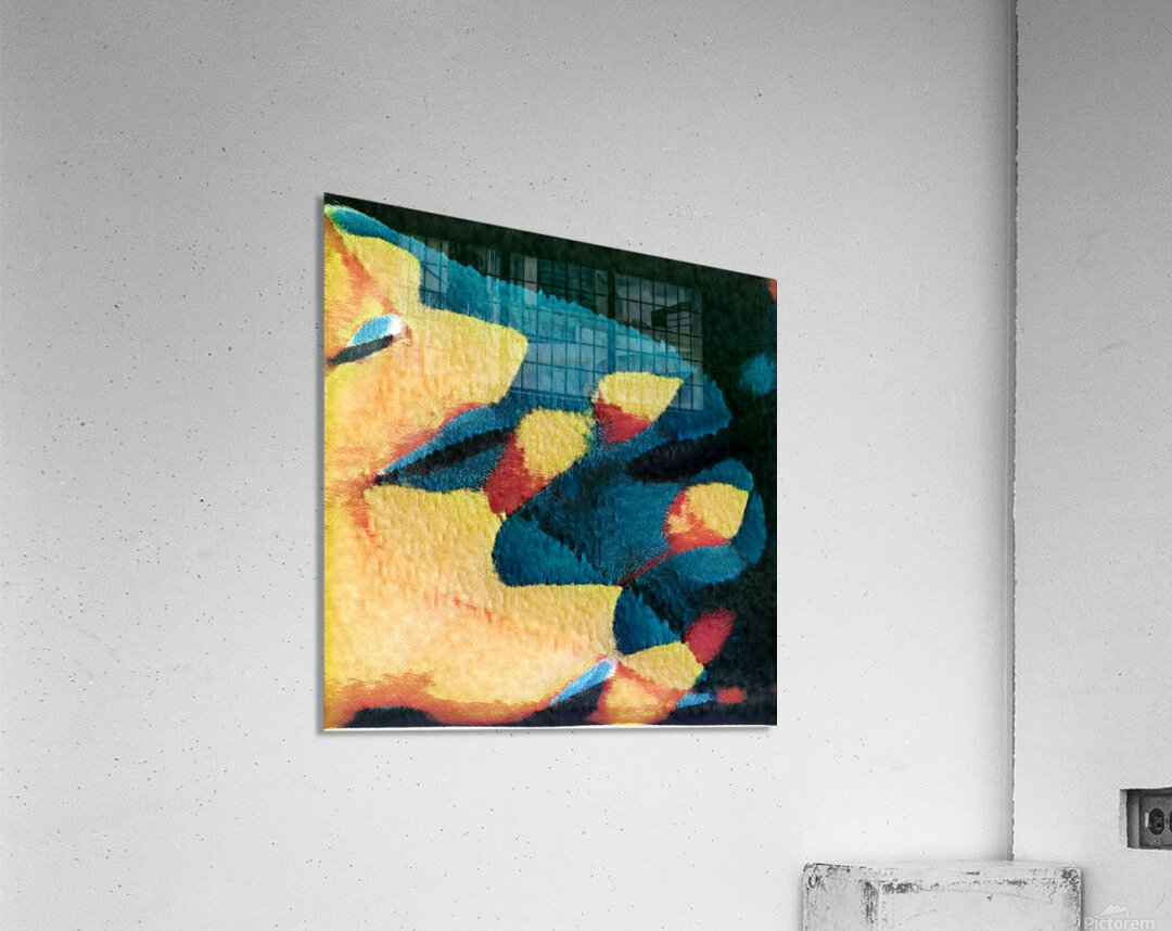 2364 8K Acrylic Print