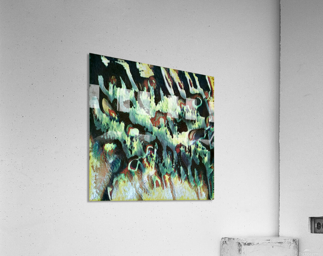 2396 8K Acrylic Print