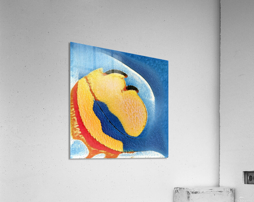 2595 8K Acrylic Print