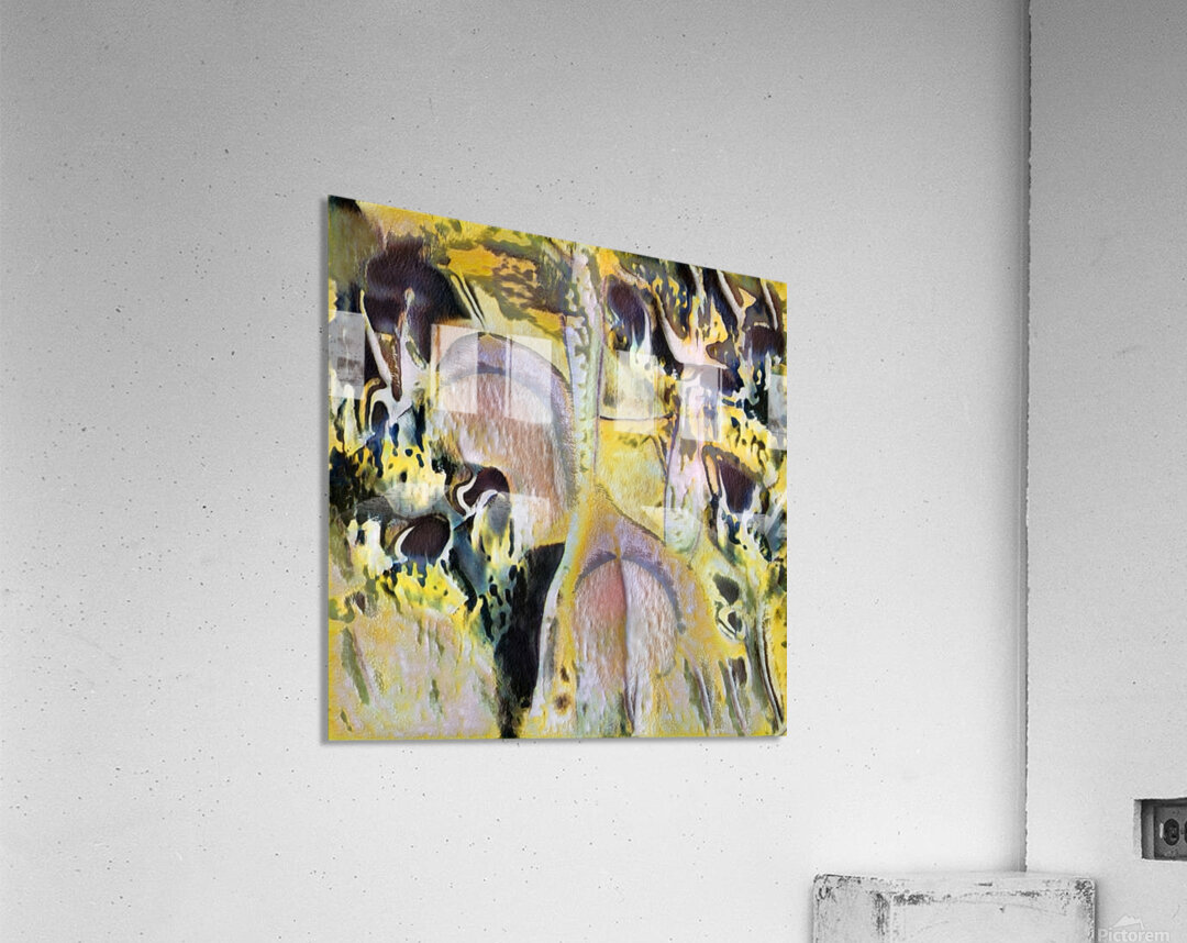 3425 8K Acrylic Print