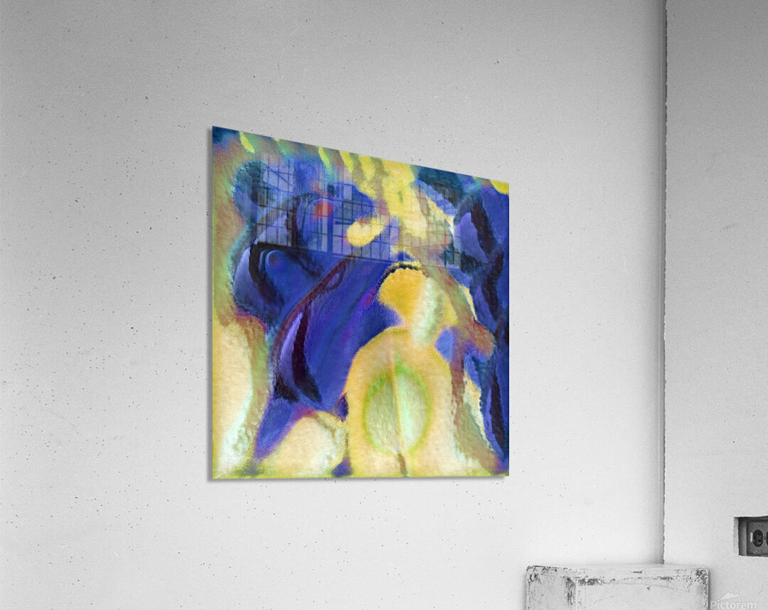 3767 8K Acrylic Print