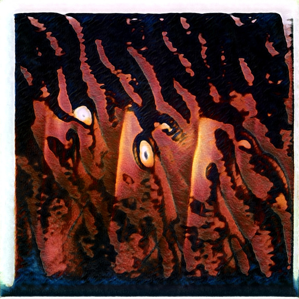 2263 8K Digital Download