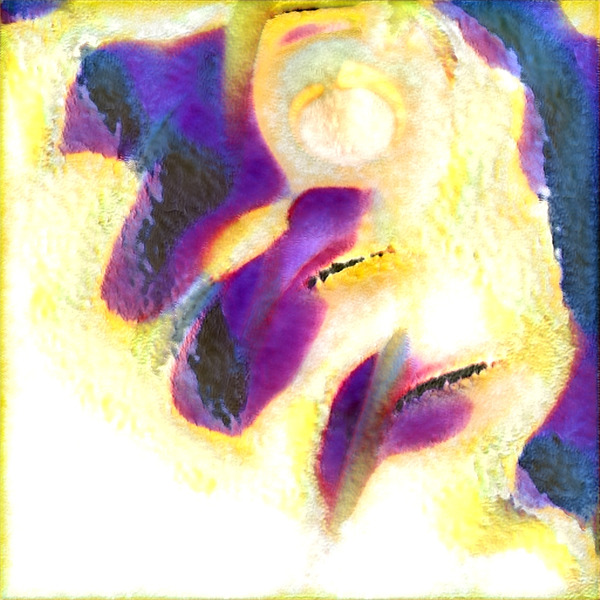 1362 8K Digital Download