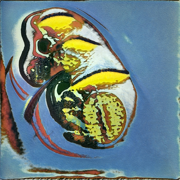 656 8K Digital Download