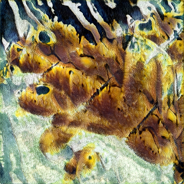 4090 8K Digital Download