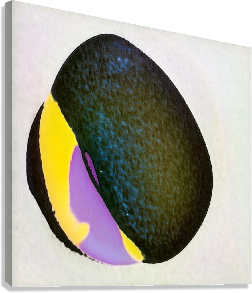 1015 8K Canvas Print