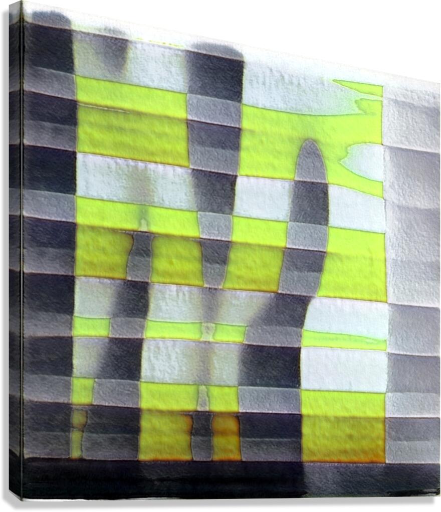 1013 8K Canvas Print