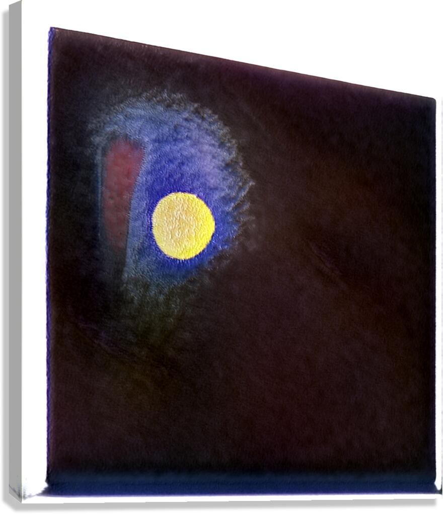 1041 8K Canvas Print