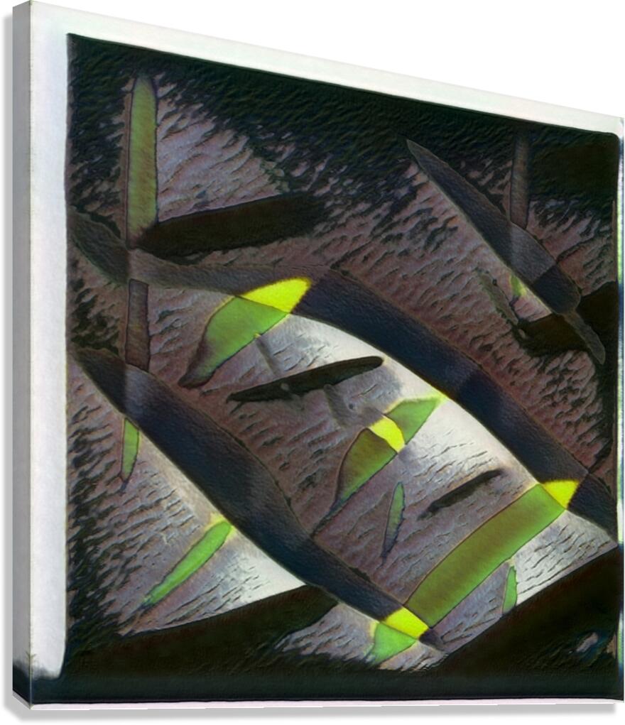 1057 8K Canvas Print