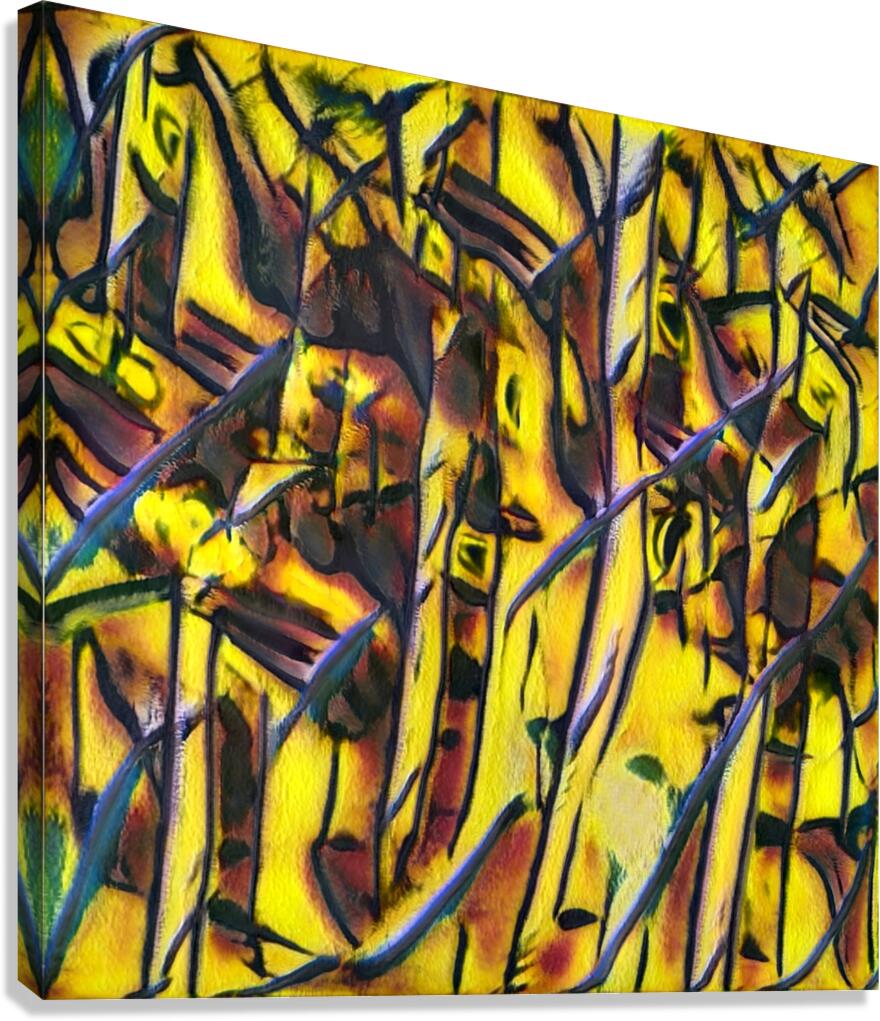 1073 8K Canvas Print