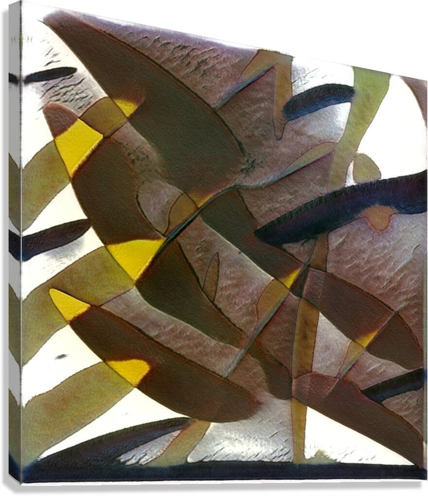 1150 8K Canvas Print