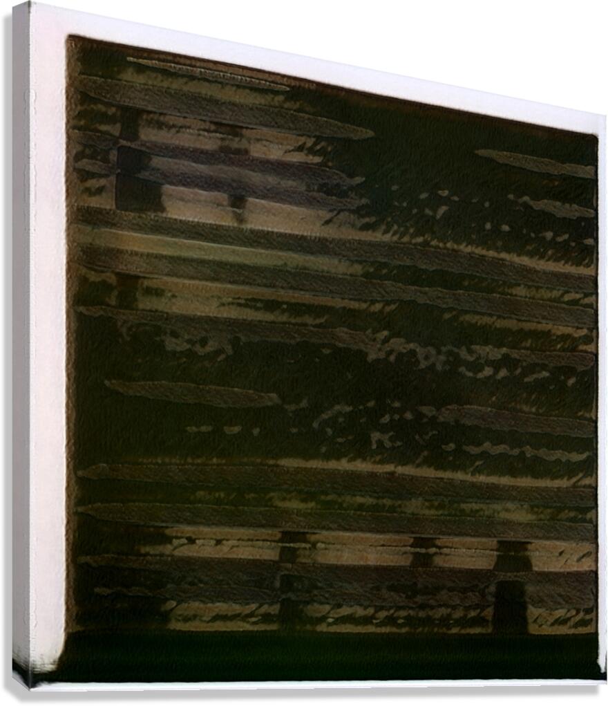 1127 8K Canvas Print