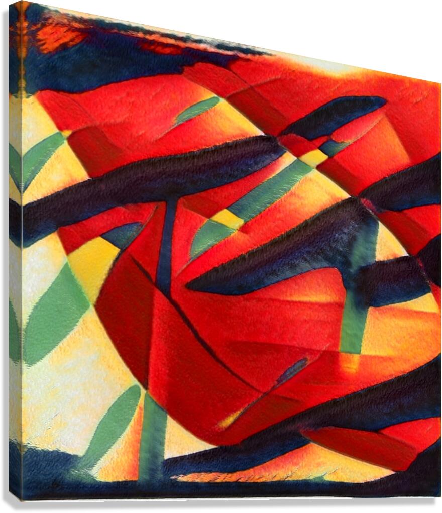 1177 8K Canvas Print