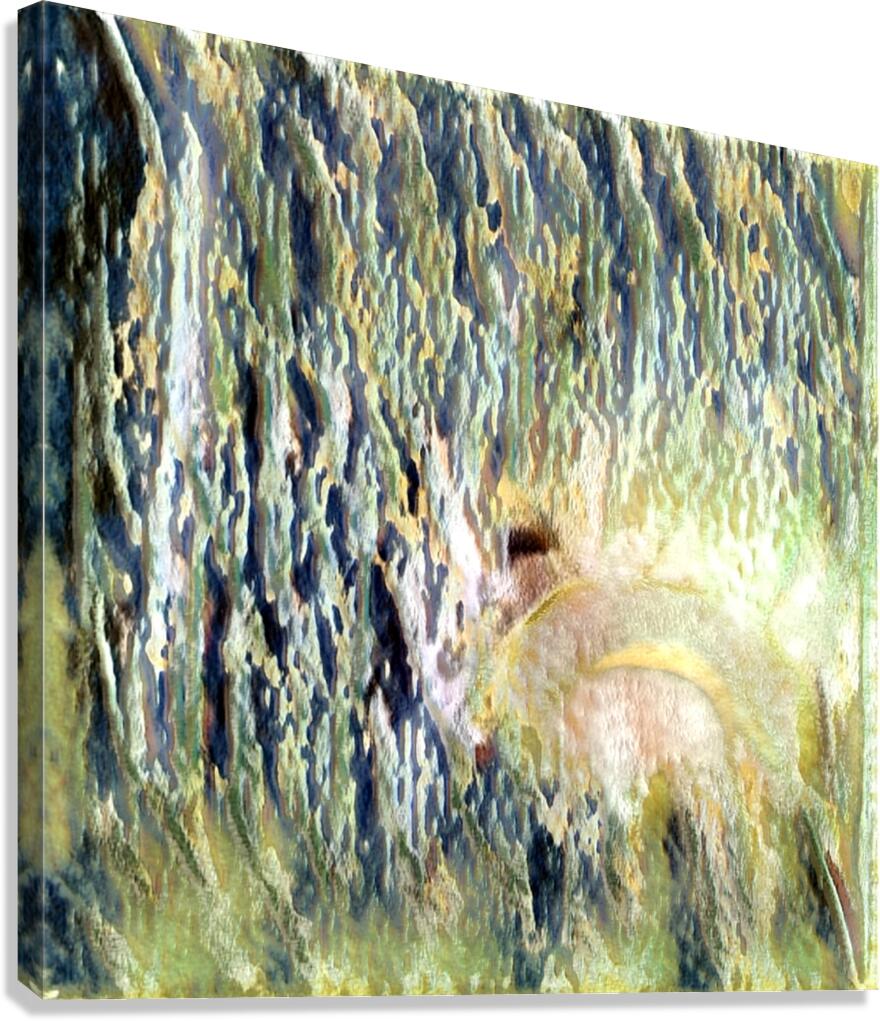 1327 8K Canvas Print