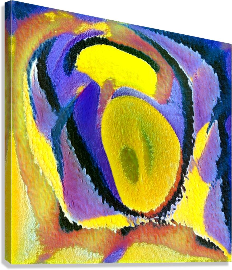 1329 8K Canvas Print