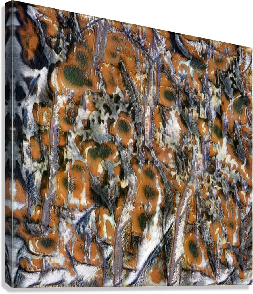 1370 8K Canvas Print