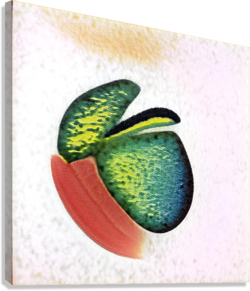 1375 8K Canvas Print