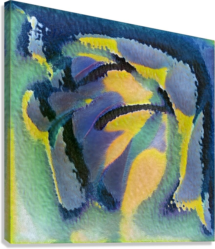 1411 8K Canvas Print