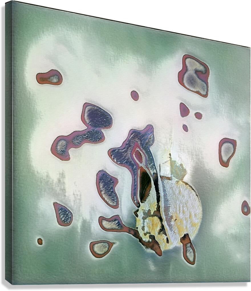 1488 8K Canvas Print