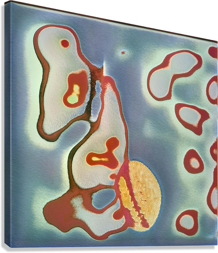 1491 8K Canvas Print