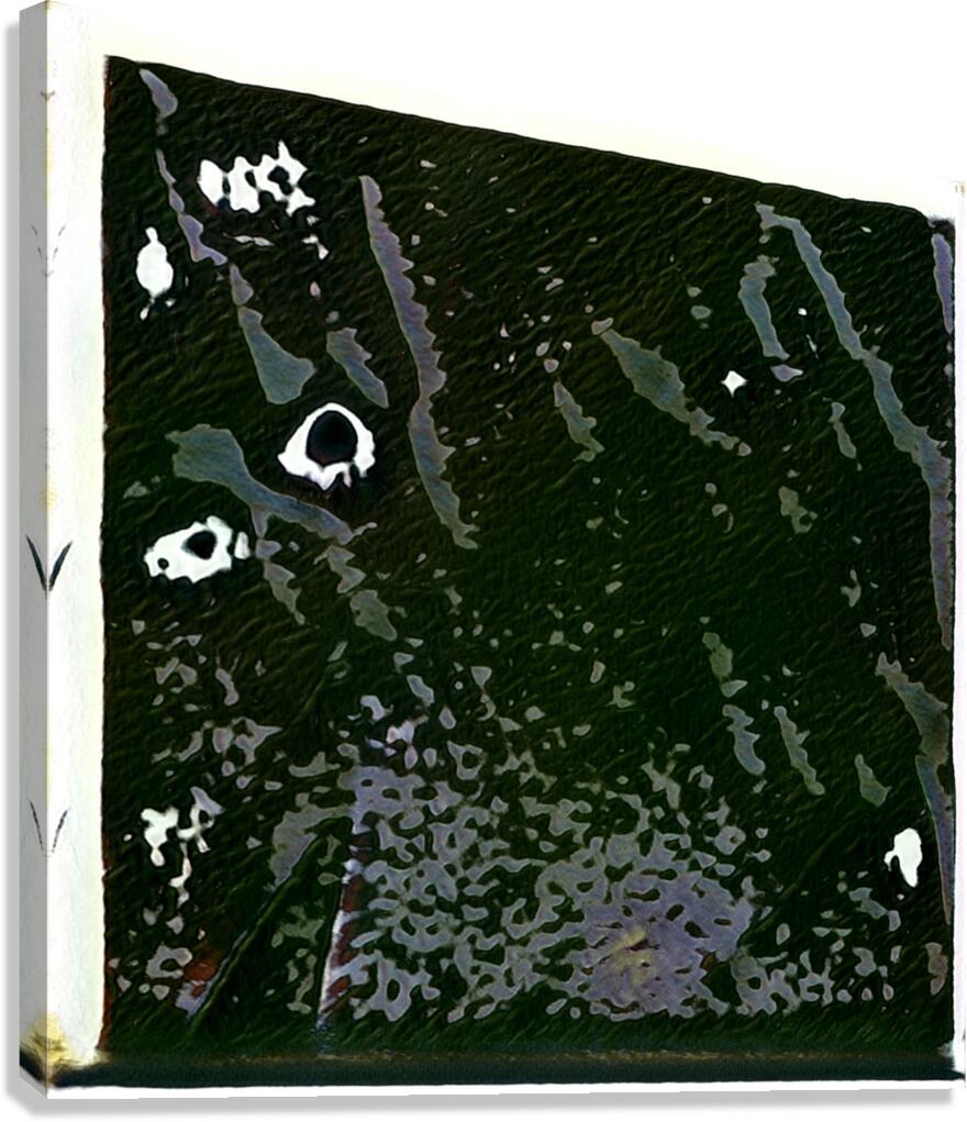 1540 8K Canvas Print