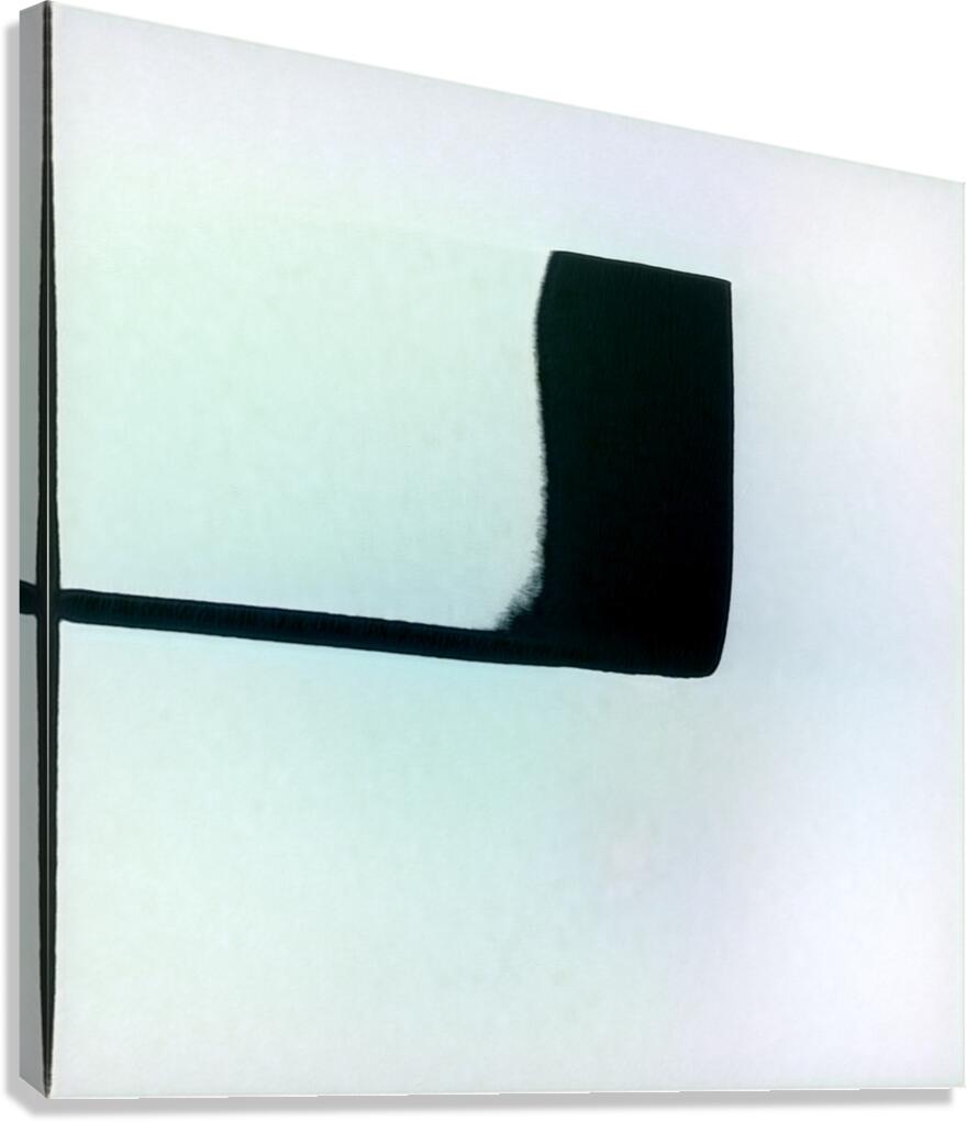 1665 8K Canvas Print