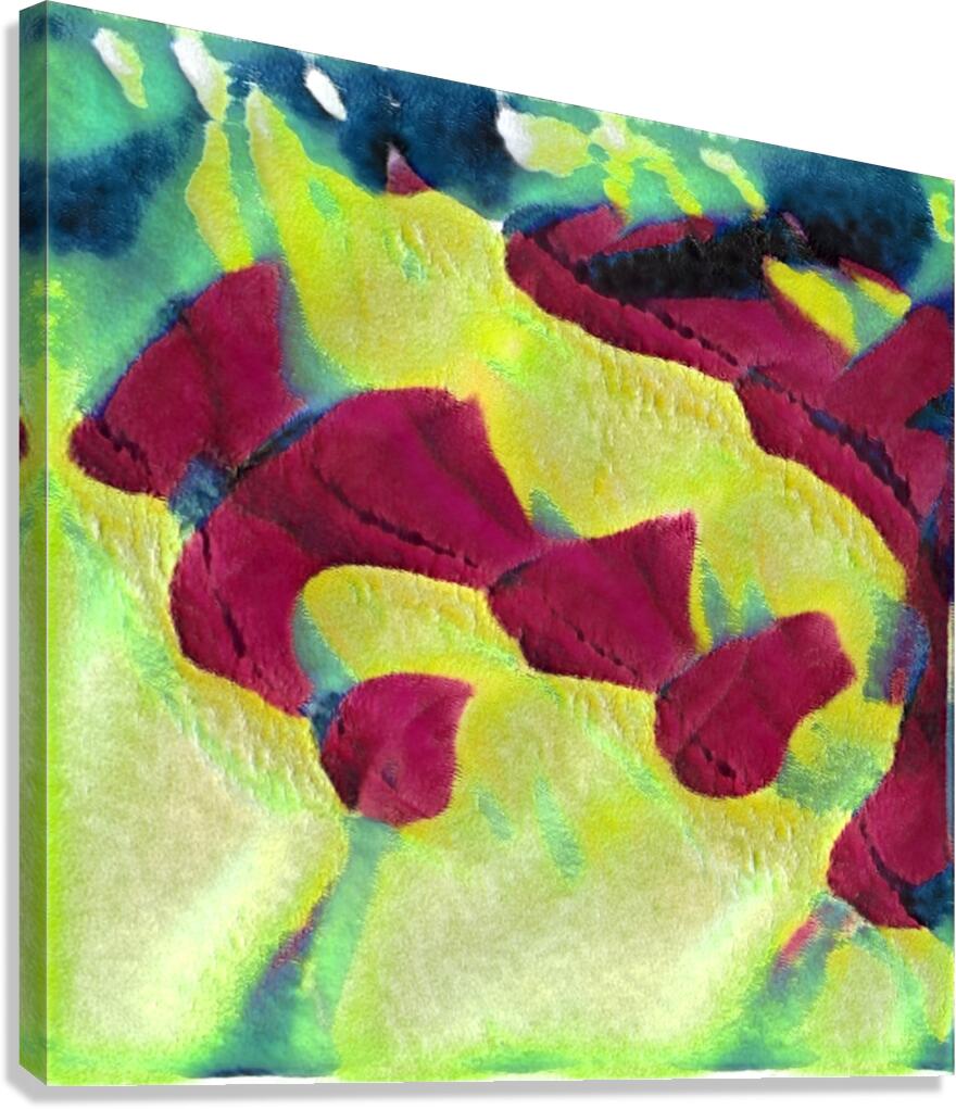 1664 8K Canvas Print