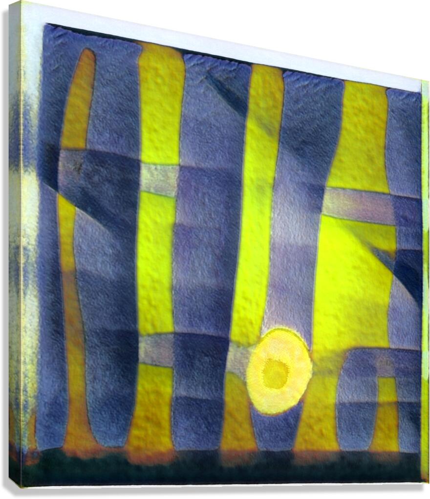 1686 8K Canvas Print