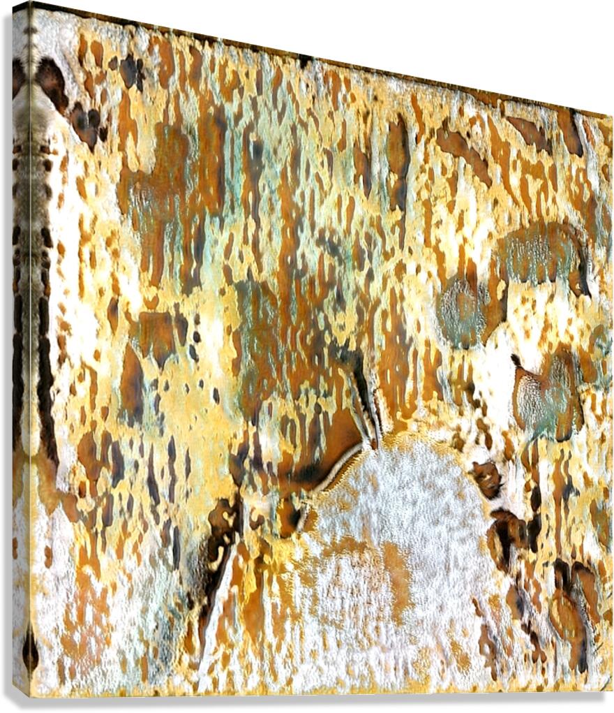 1678 8K Canvas Print