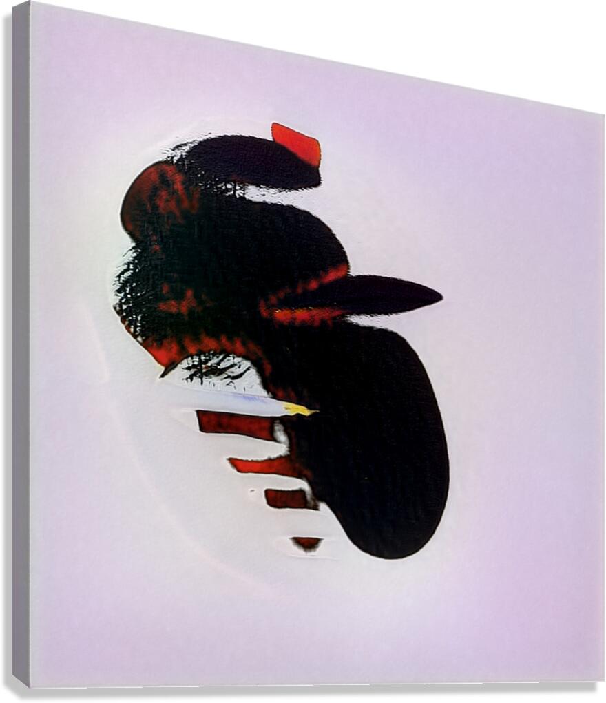 1709 8K Canvas Print