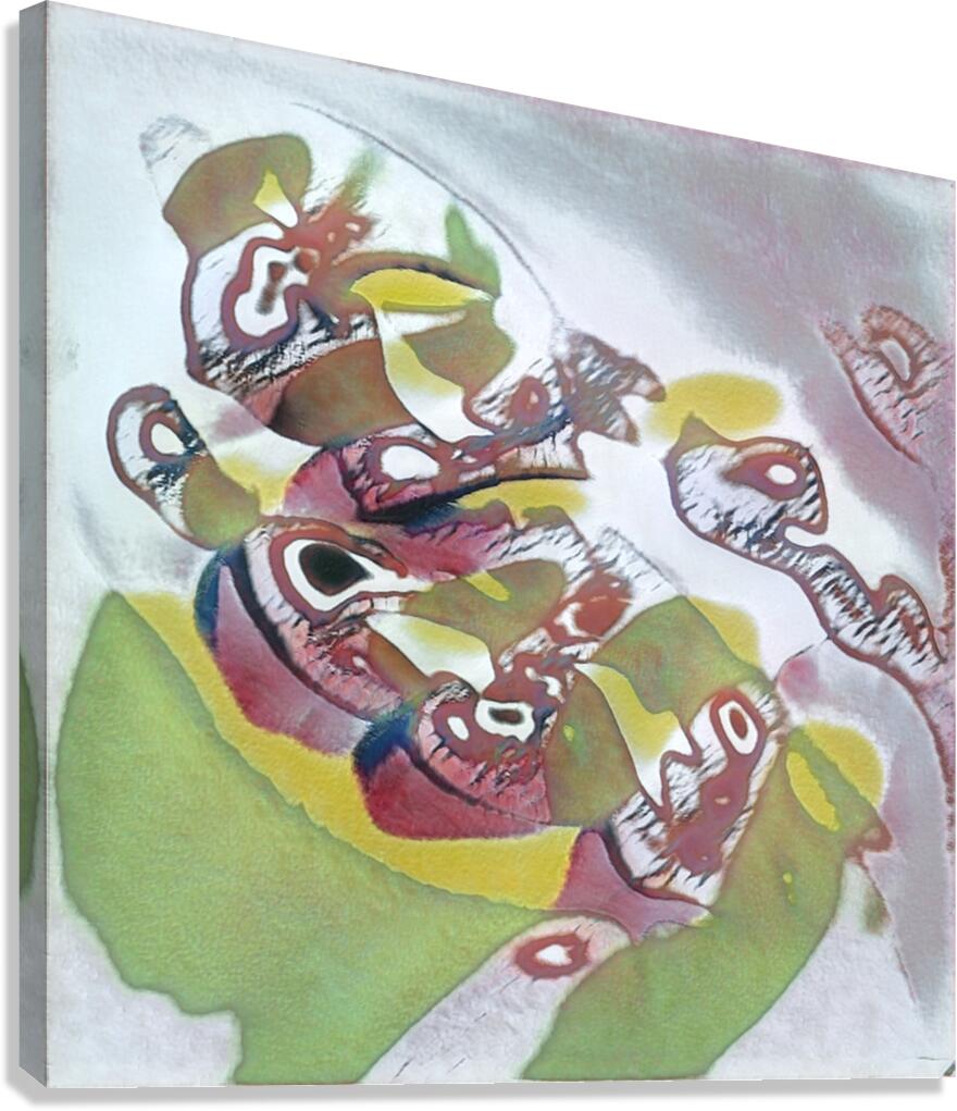 1744 8K Canvas Print